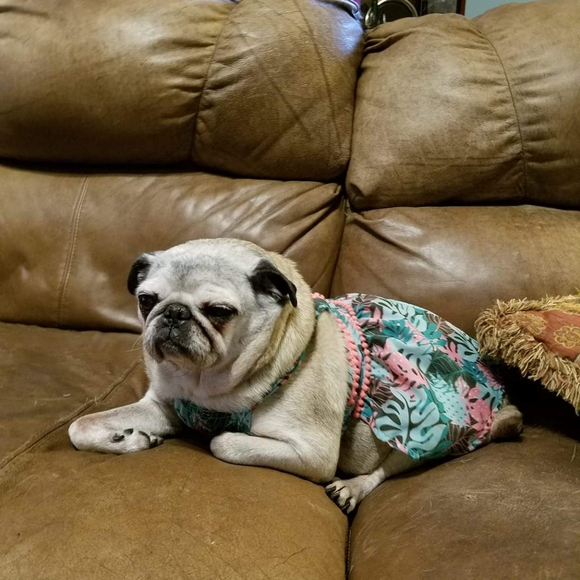 Meet The Posher - Picture 10 of 15